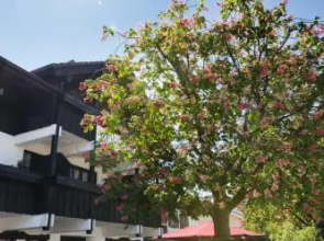 Gästehaus Rössler