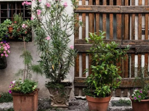 Buonocore Guesthouse