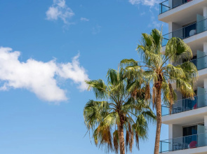 Marina Suites