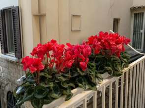 La Banchina Holiday Rooms