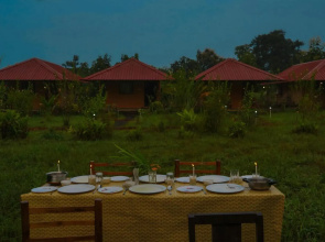 Tadoba Safari Stay Nature's Sprout