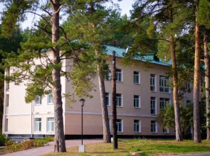 Курьи
