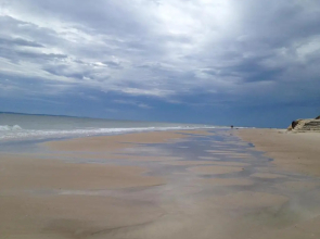 Beachfront at Bribie 2 Puppy Friendly