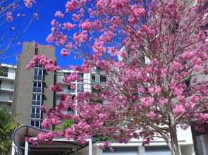 Signature Waterfront Apartments