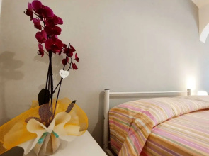 Summer Room