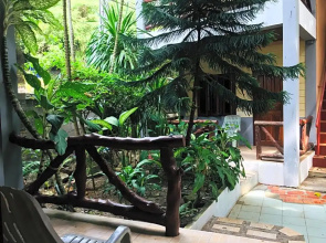 Big Fish Resort Koh Tao