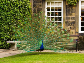 Cbh Whitley Hall Country House Hotel
