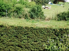 Wohnung Ruhland