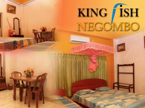 King Fish Guest House