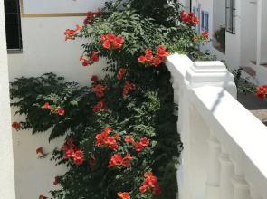 Hotel Mamabels
