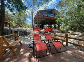 Howler Jungle House