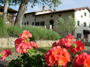 Fattoria di Belvedere