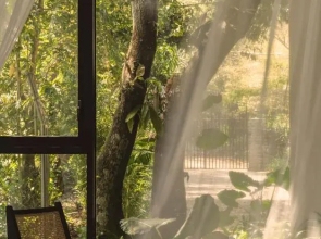 Flora Vythiri Resort