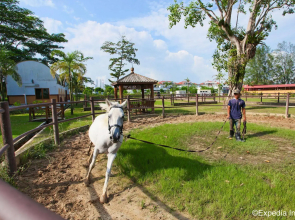 Punggol Ranch Resort