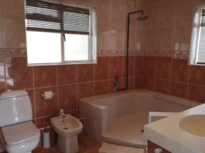 Watching Waves Heron Chase