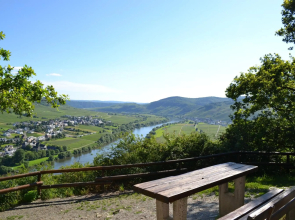 Weingut Mathy-Schanz