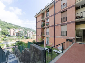 JOIVY Levante 289