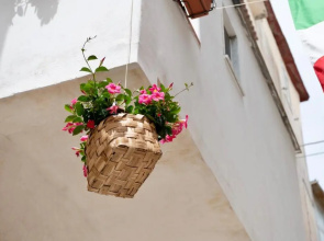 Il Riccio Apartment 28