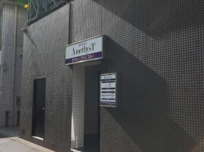 Hotel Amethyst