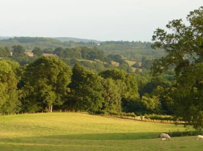 Southgate - Little Fowlers