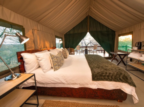 Sausage Tree Safari Camp