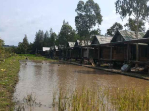 Baanya Suanpu Bungalow