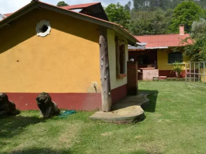 Xejuyu