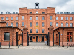 Dream Aparts - Lofty Scheiblera