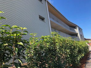 Appartments "Am Ardetzenberg"