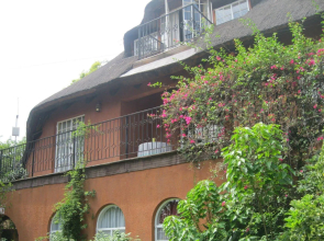 TreeTops & Treats Guest House