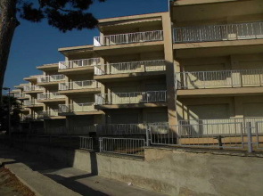 Apartamentos DMS 5