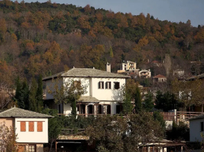 Pelion Homes Villa Thalia Private Pool 3 Rooms