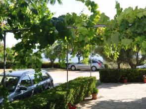 Aris Pension
