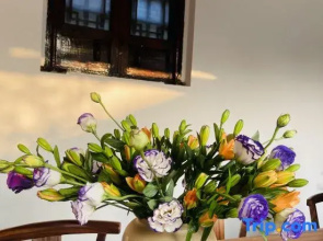 Jinglu Homestay