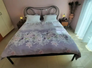 IOANNIS - Room with balcony near Limnopula