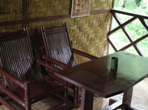 Rain Forest Guest House