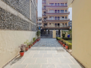 Lime Tree Studio Near Fortis Gurgaon