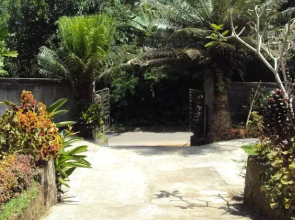 WAA Angsri Jatiluwih