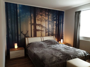 Ferienwohnung Fichtelmountain
