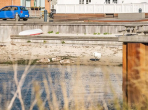 "Joar" - 5m to the inlet in SE Jutland