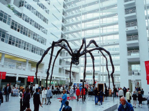 Cove - Centrum, Passage