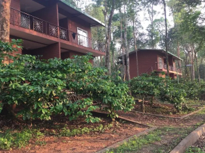 Machaan Resorts