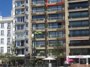 Volledig vernieuwd appartement tussen zee,bos en de duinen
