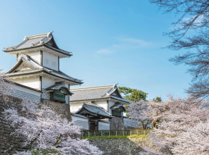 Higashiyama Aritsuki