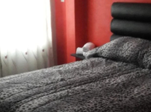 Hostal DLUXO