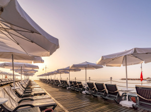 Gypsophila Club Marine