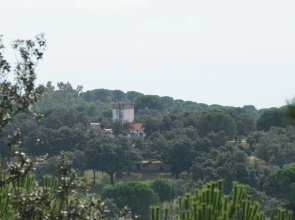 San José