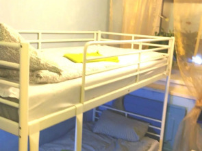 Нарния Сквот 