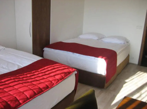 Ace Guesthouse