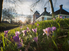 Het Swadde huisje